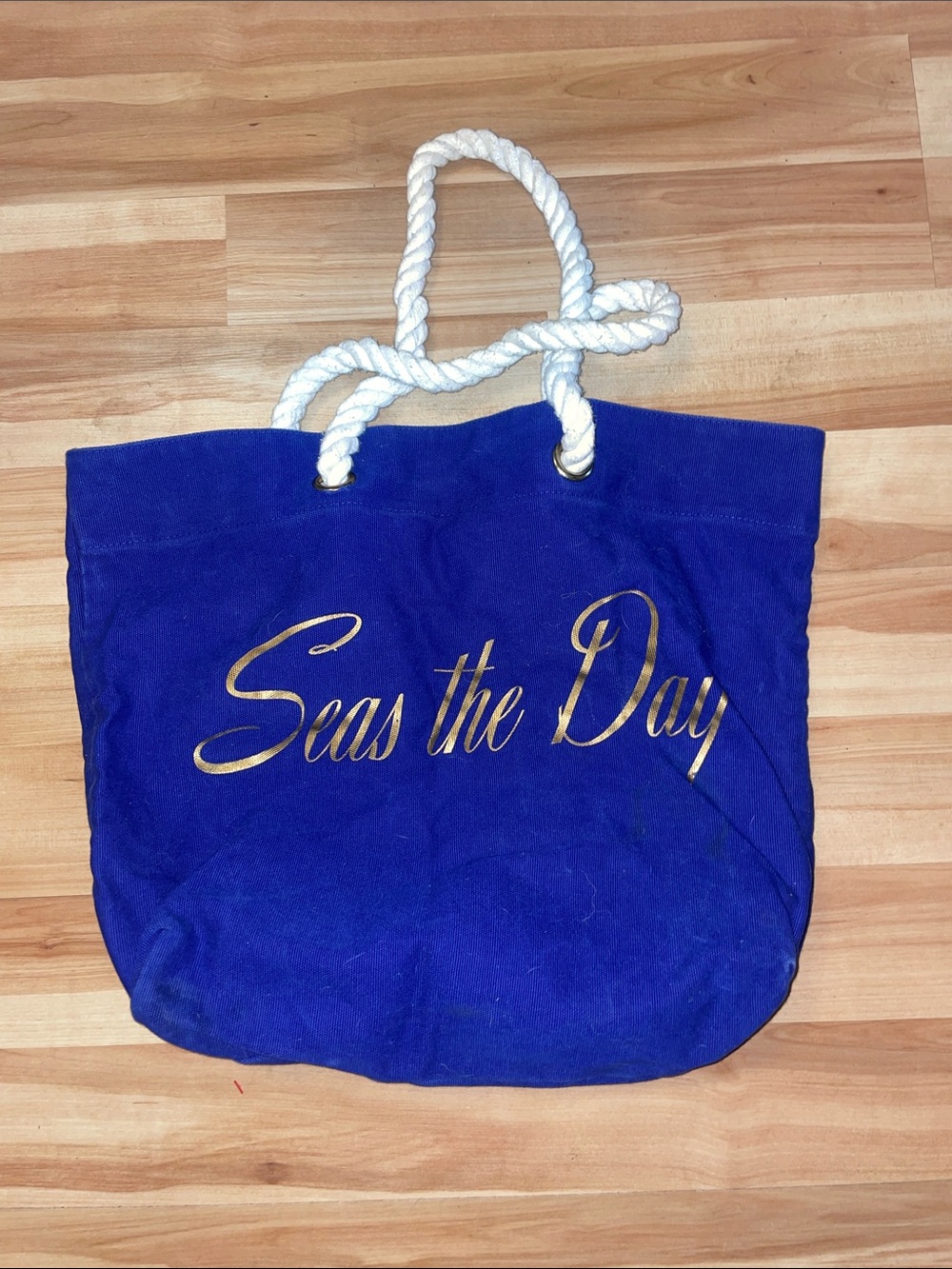 Seas the day beach bag